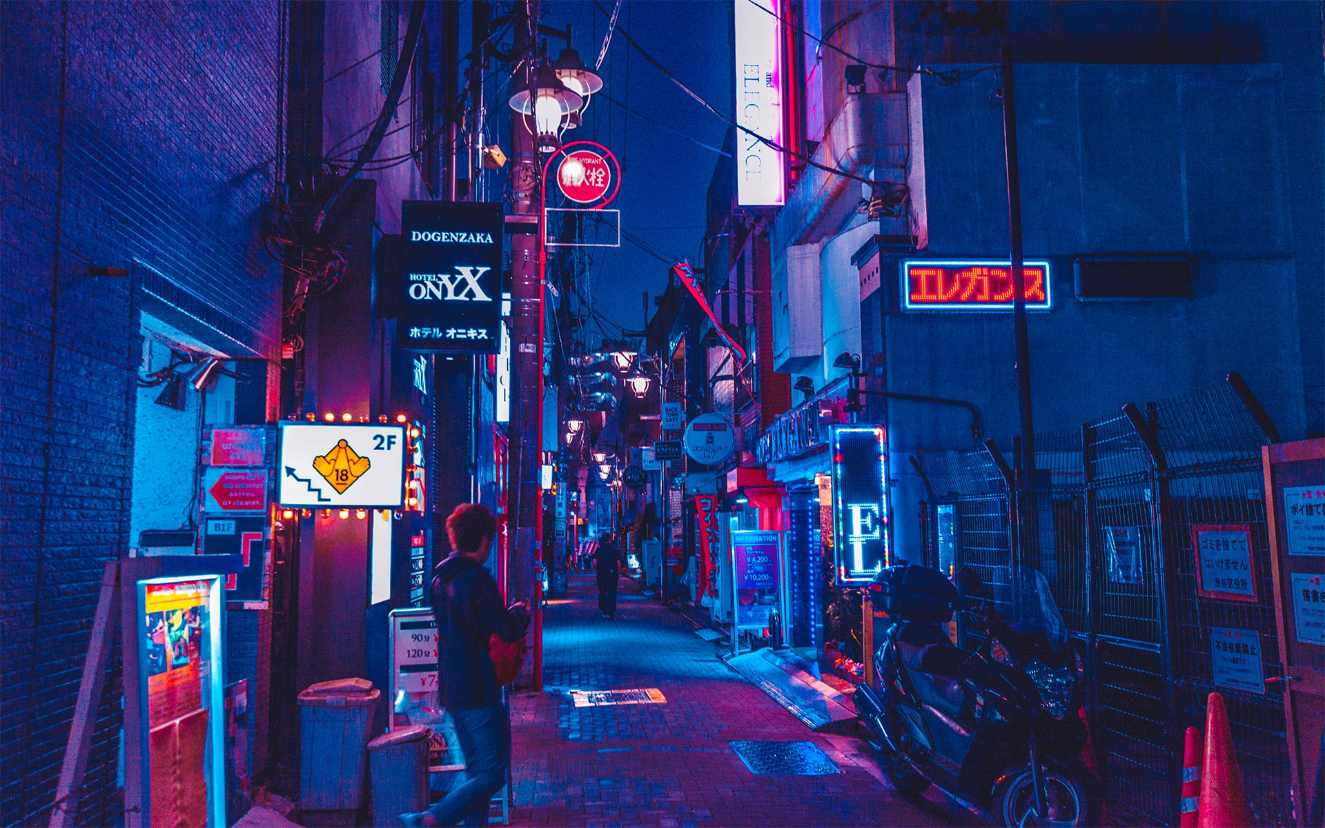 Fondo